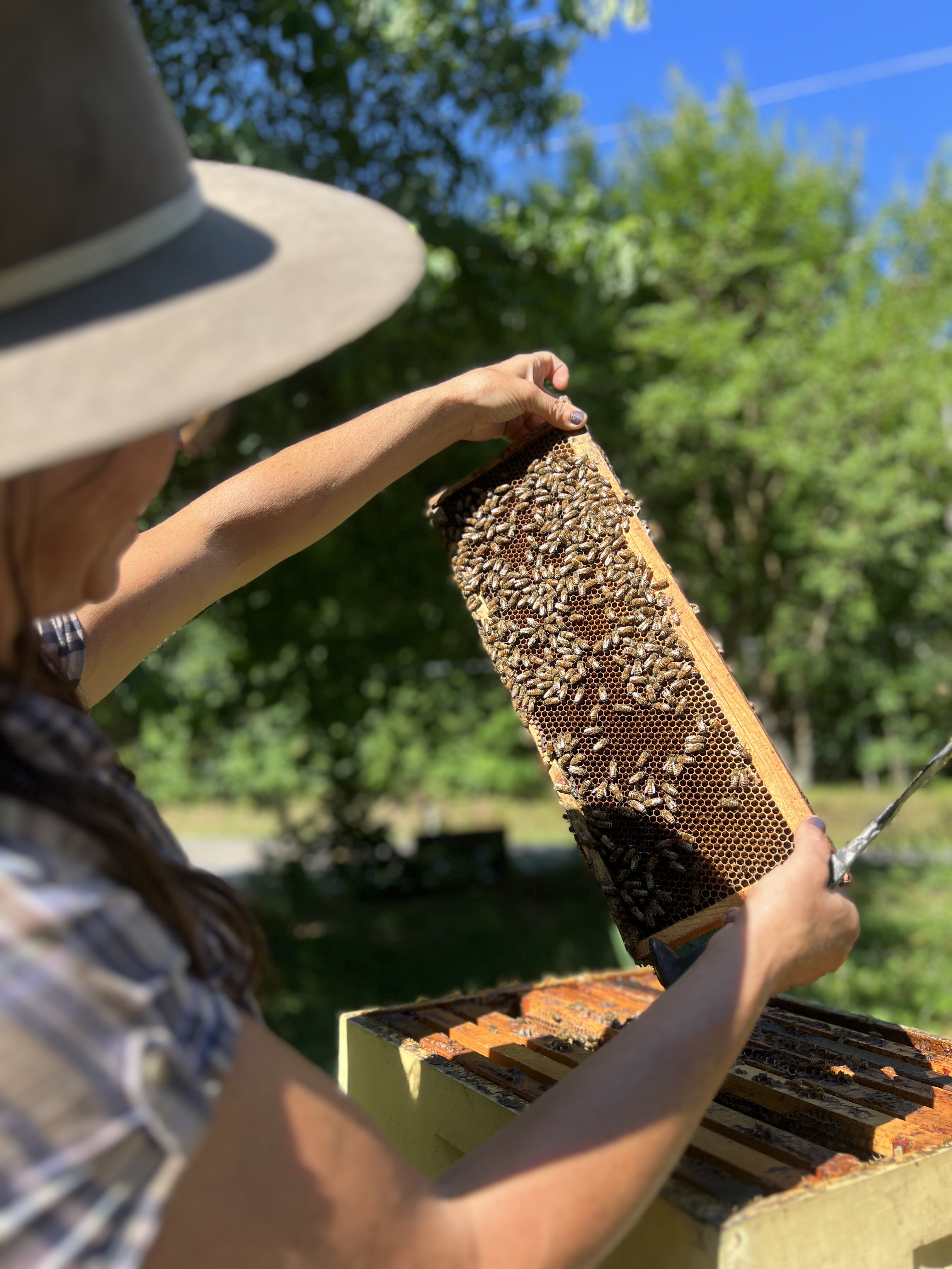 Beekeeping 101