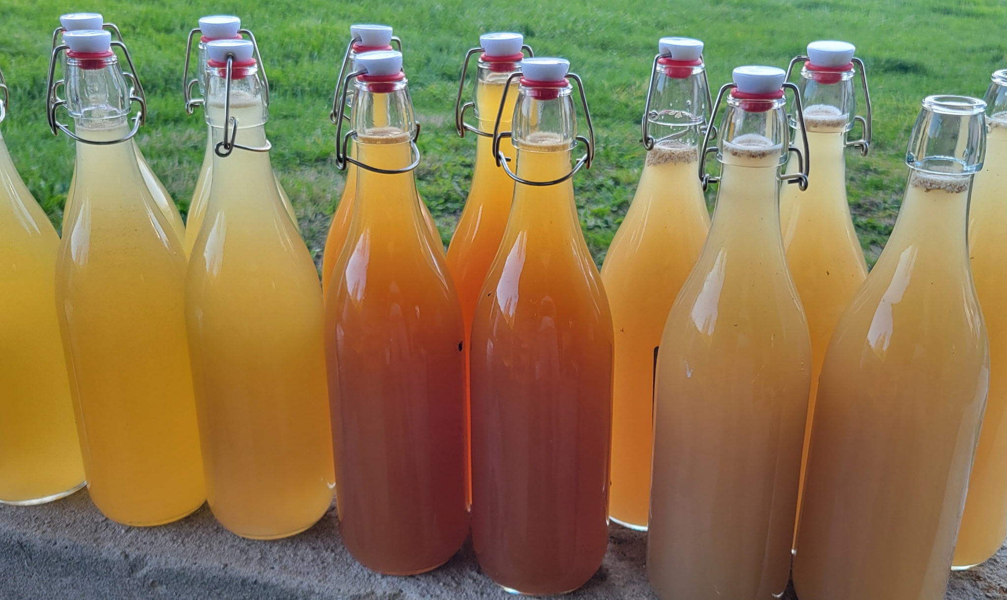 Wild-Ferment Mead Making Workshop